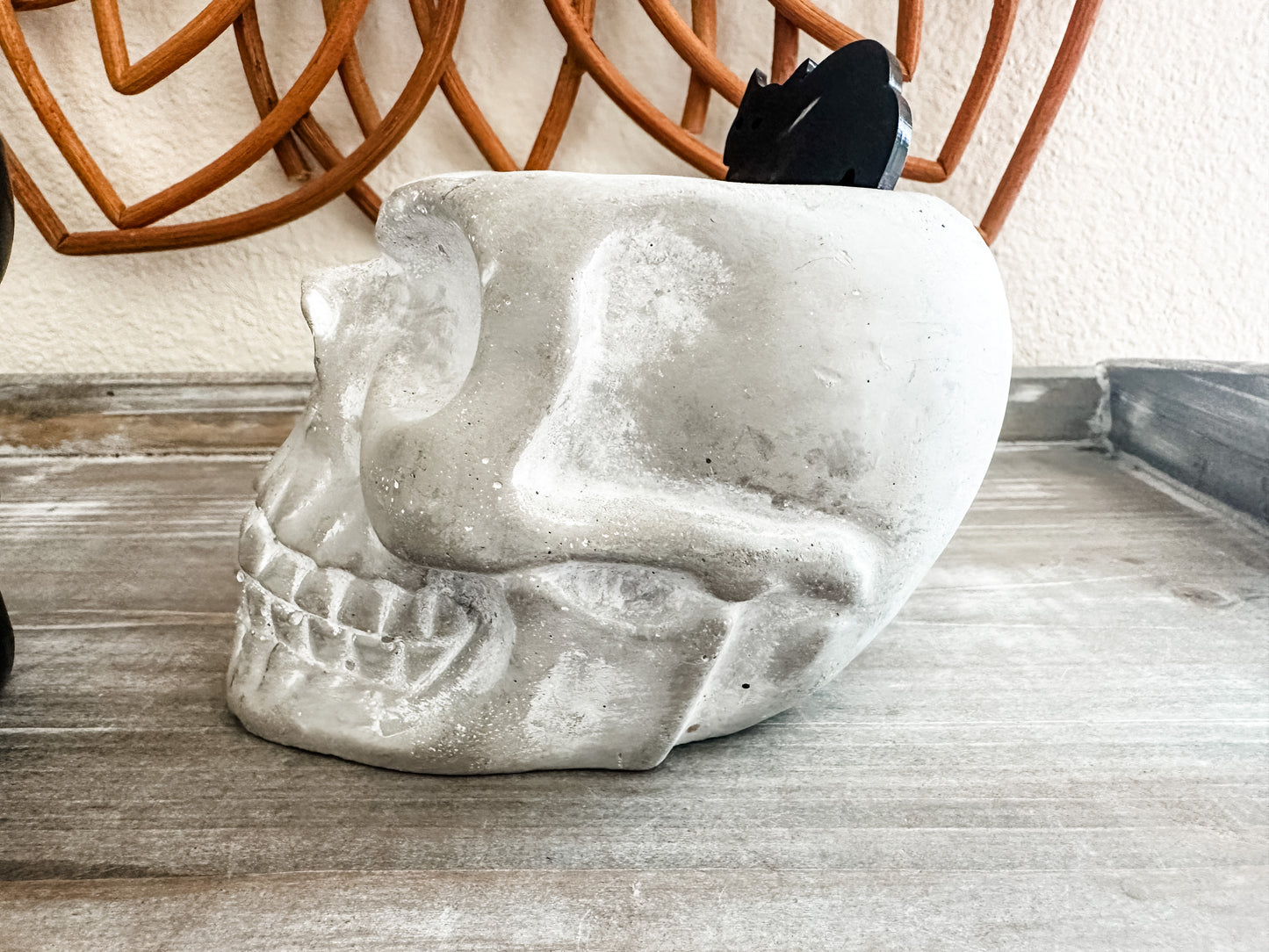 Skull cement planter